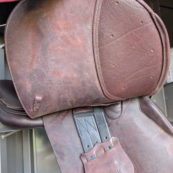 Circuit™ Premier Special DS Saddle with Flocked Panels - Picture 5 of 8